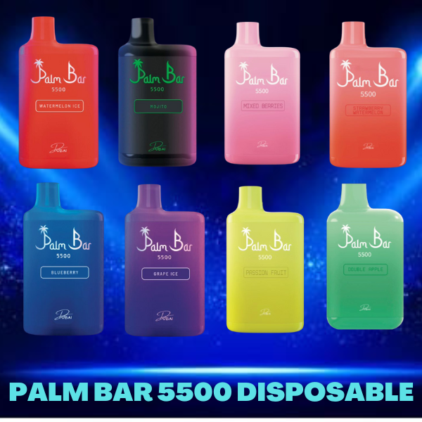 PALM BAR 5500 PUFFS BEST DISPOSABLE IN UAE