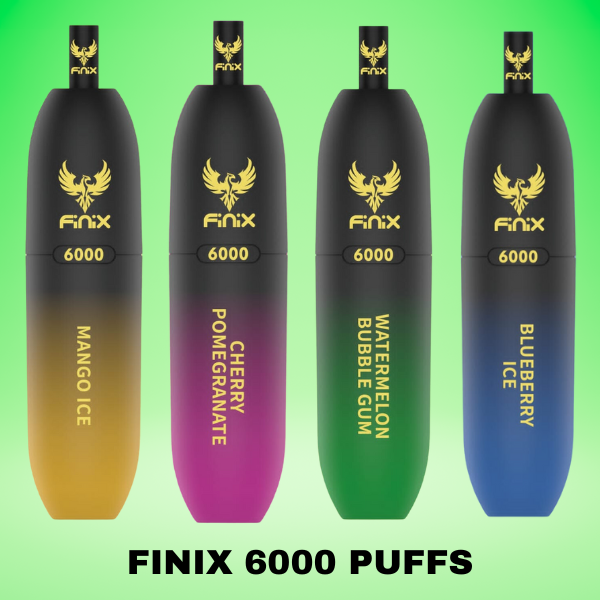 FINIX 6000 PUFFS BEST DISPOSABLE IN UAE