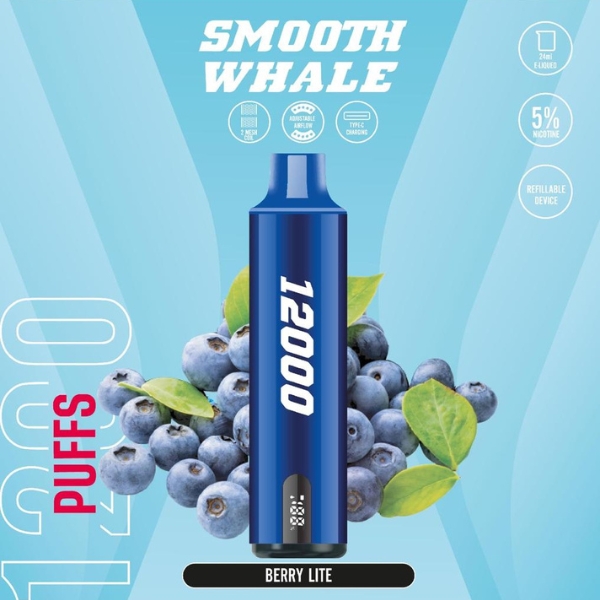 SMOOTH Whale Disposable 12000 Puffs Rechargeable Vape in Dubai UAE berry lite