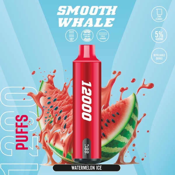 SMOOTH Whale Disposable 12000 Puffs Rechargeable Vape in Dubai UAE watermelon ice